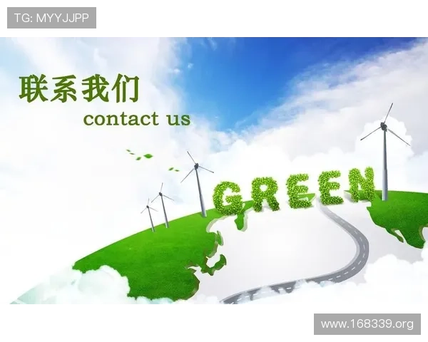 全面解析龙8国际登录网站的最新安全与用户体验提升策略
